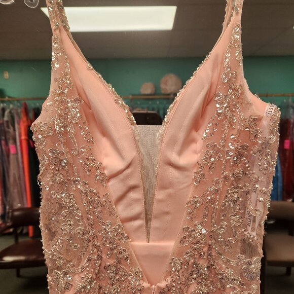 Colette CL2051 Size 2 Blush/Silver Prom/Evening Dress - Picture 6 of 7